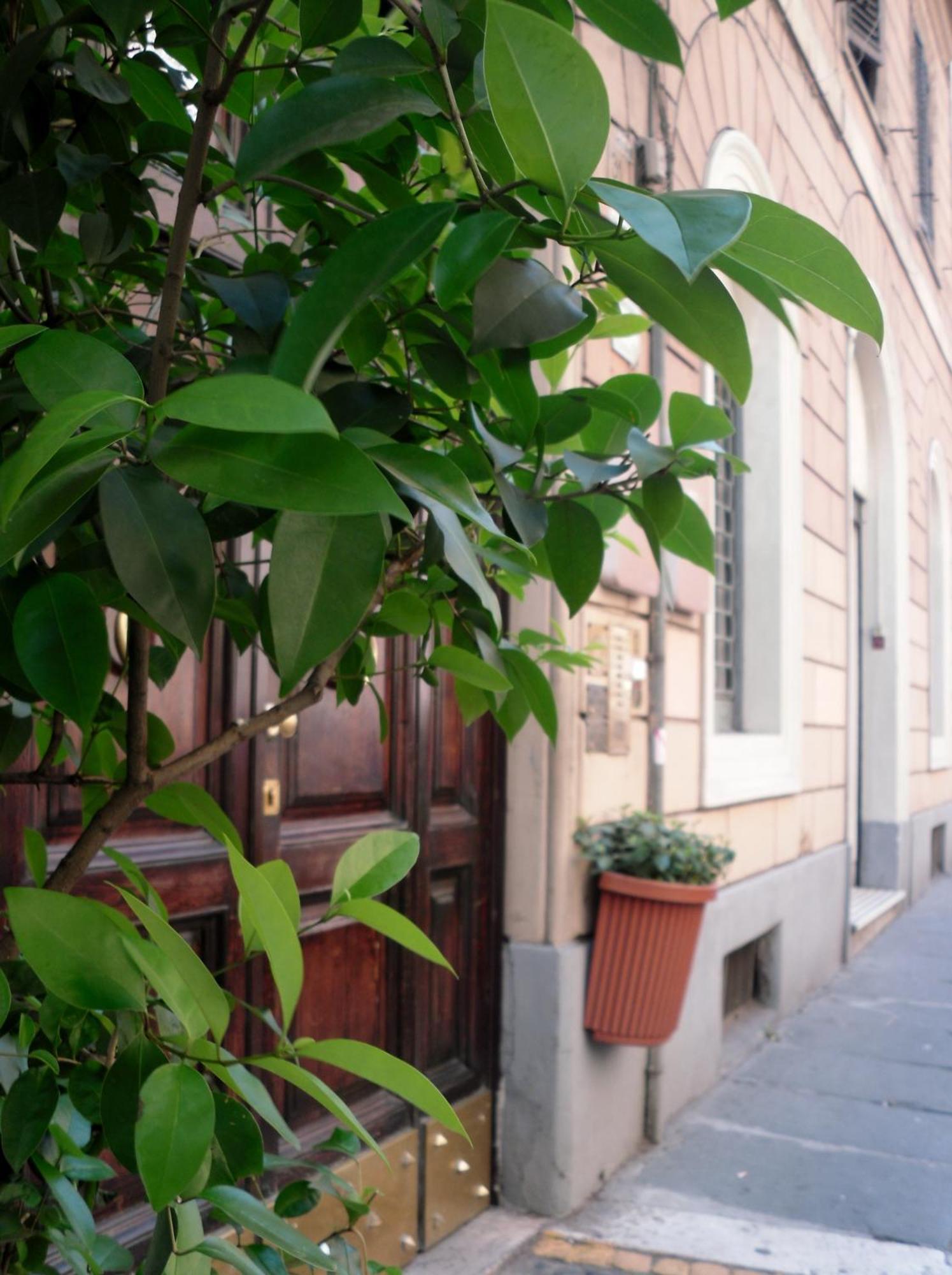 Hotel Castelfidardo Roma Exterior foto